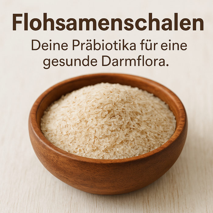 Flohsamenschalen sind Präbiotika