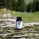 Aronia Extrakt Kapseln 20:1