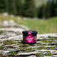 Aronia Konfiture bio
