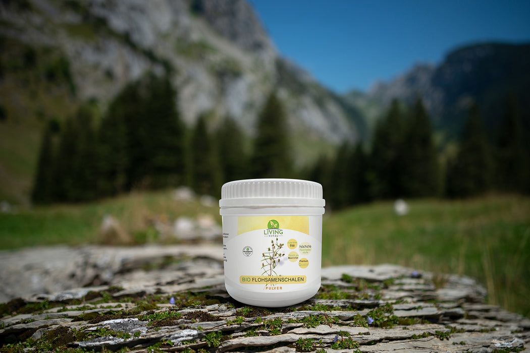 FlohsamenschalenPULVER  Dose bio, 400g