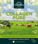 Collagène pur - Protéine de collagène - issu d'élevages certifiés nourris au pâturage - 450 g Poudre